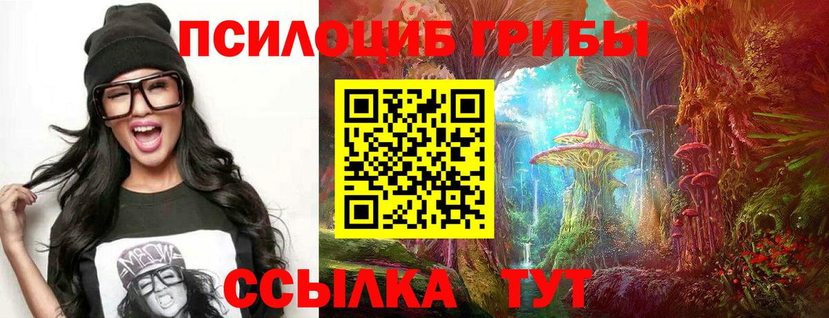 купить наркотики сайты  Псилоцибиновые грибы ЛСД  Вход с VPN  Фурманов 