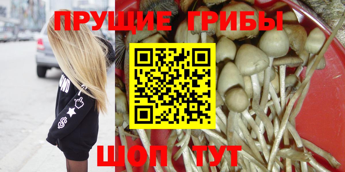Псилоцибиновые грибы мухоморы  Фурманов  Псилоцибиновые грибы Magic Shrooms 