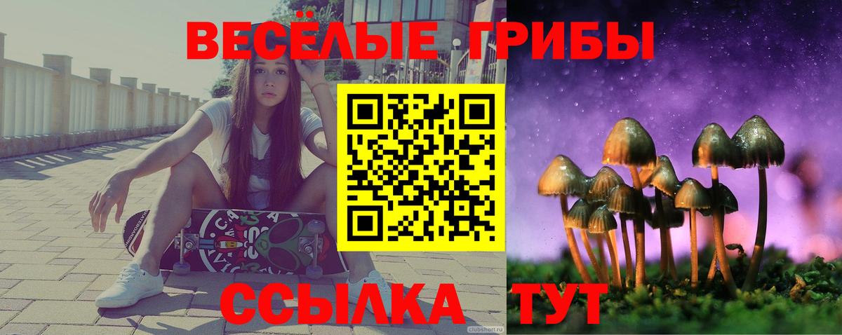 Псилоцибиновые грибы Cubensis Фурманов