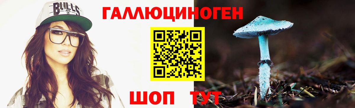 Галлюциногенные грибы Psilocybe Фурманов